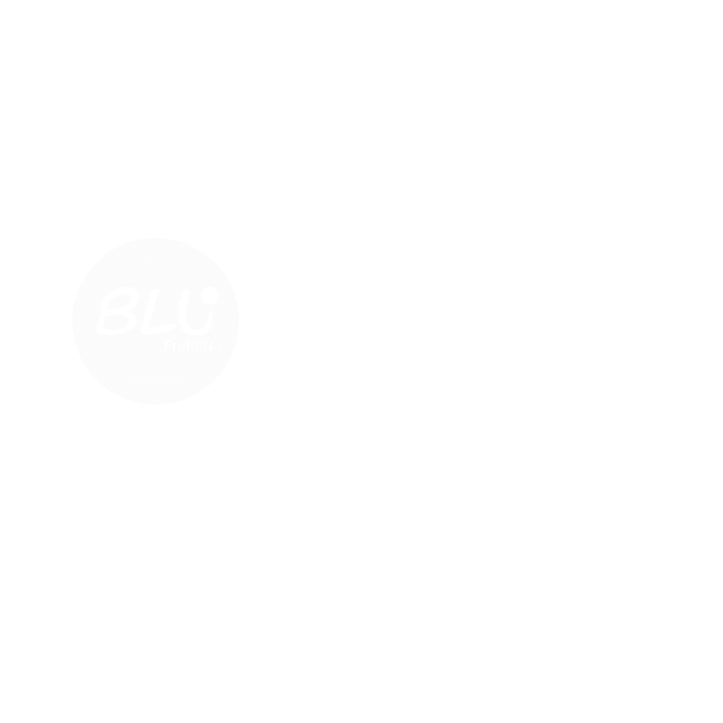 Blu Logo